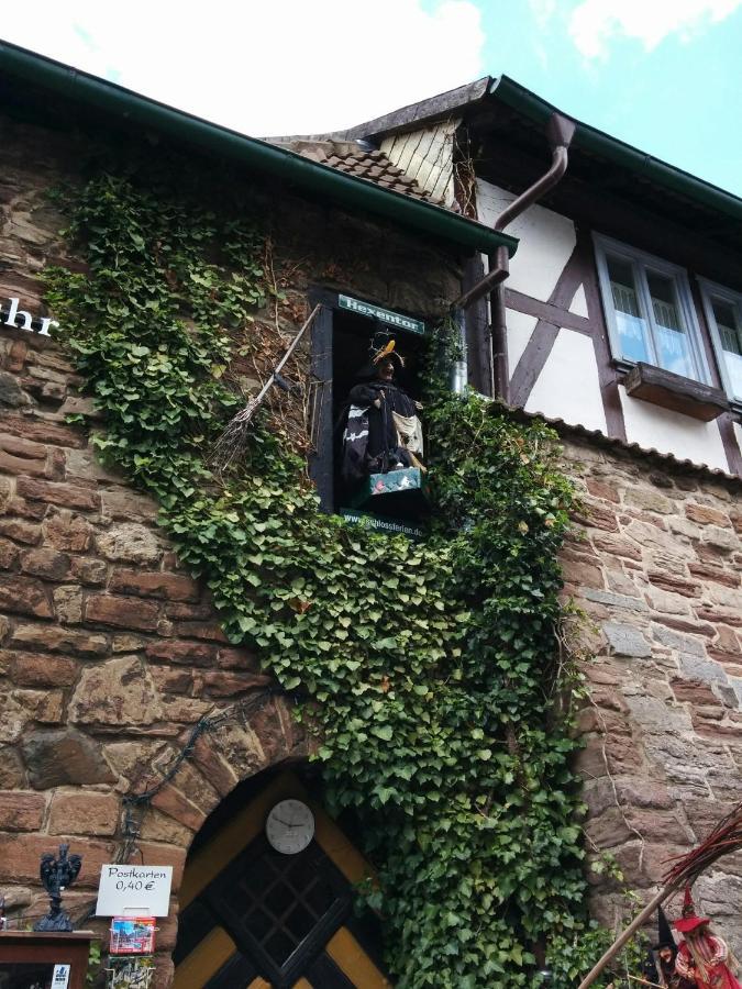 Ferienhaus Wernigerode "Am Schlossbuehel" 5 Schlafzimmer מראה חיצוני תמונה